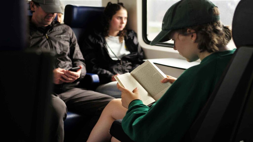 Een lezer in de trein